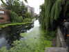 20210813110830-DSCN9370.JPG