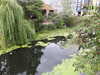 20210813110905-DSCN9371.JPG