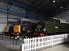 20210813140646-DSCN9423.JPG