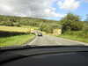 20210813160240-DSCN9449.JPG