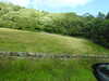 20210813160342-DSCN9452.JPG