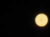 20210813210019-DSCN9469.JPG