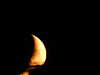 20210813211357-DSCN9474.JPG