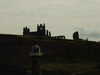 20210814123356-DSCF6251.JPG