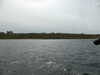 20210814130423-P1320974.JPG