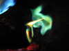 20210814211216-DSCN9490.JPG