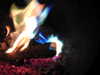 20210814211231-DSCN9495.JPG
