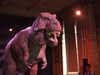 20210828115438-DSCF6274.JPG
