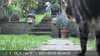 DSCF0173.JPG
