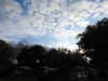 20210911191141-DSCN9525.JPG