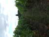 20210912125437-DSCF6288.JPG