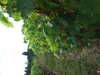 20210912125504-DSCF6289.JPG