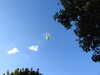 20210912184538-DSCN9544.JPG