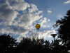 20210912190533-DSCN9568.JPG