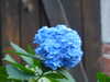 20210913201016-DSCN9600.JPG