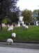 20210913202052-DSCN9610.JPG