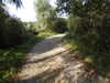 2021-09-14:Mezieres-saint-leonard de noblat
