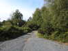 20210914103652-DSCN9615.JPG