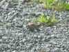 20210914105122-DSCN9617.JPG