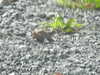 20210914105132-DSCN9618.JPG