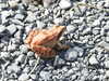20210914105238-DSCN9620.JPG