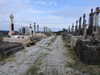 20210914145437-DSCN9628.JPG