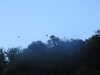 20210915184644-DSCN9672.JPG