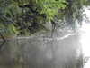 20210915185223-DSCN9682.JPG