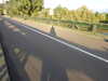 20210915191607-DSCN9698.JPG