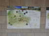 20210916105447-DSCN9727.JPG