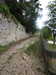 20210916110322-DSCN9736.JPG