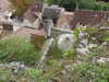 20210916114341-DSCN9803.JPG