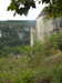 20210916115044-DSCN9813.JPG