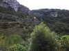 20210916121734-DSCN9821.JPG