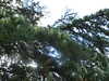 20210916125321-DSCN9842.JPG