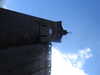 20210916125539-DSCN9843.JPG