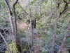 20210916125554-DSCN9846.JPG