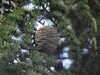 20210916125623-DSCN9847.JPG