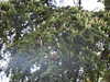 20210916125628-DSCN9848.JPG