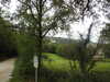20210917102243-DSCN9860.JPG