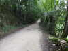 20210917102359-DSCN9863.JPG