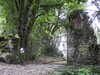 20210917102513-DSCN9864.JPG