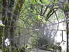 20210917102517-DSCN9865.JPG