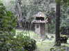 20210917102537-DSCN9866.JPG