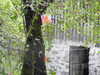 20210917102744-DSCN9868.JPG