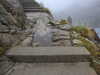 20210921115119-DSCN9908.JPG