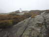 20210921115637-DSCN9917.JPG