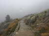 20210921115641-DSCN9918.JPG