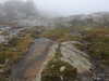 20210921115828-DSCN9921.JPG