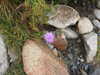 20210921115913-DSCN9923.JPG